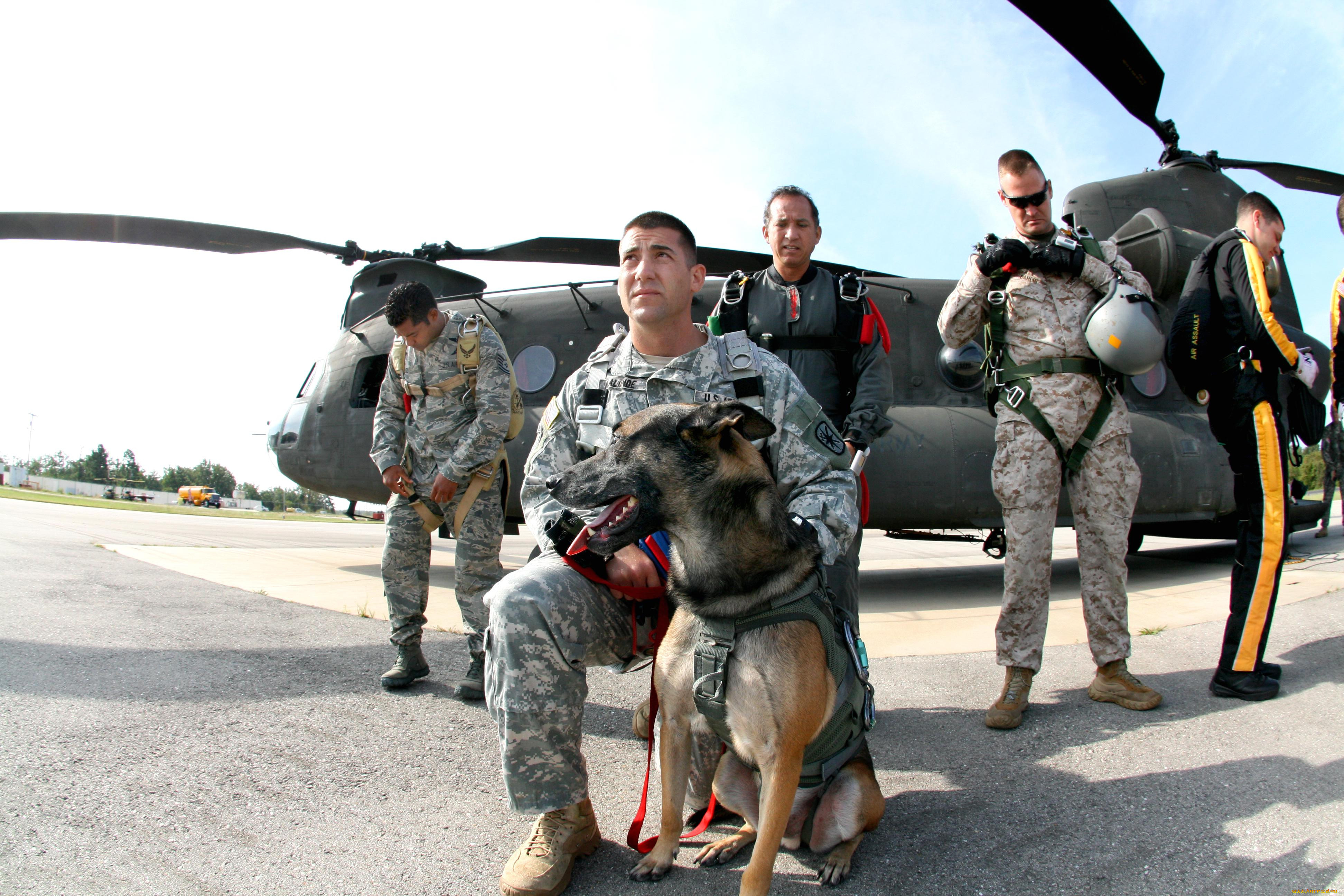 , , , army, military